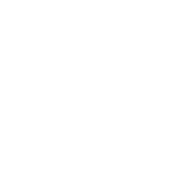 PAD Logo